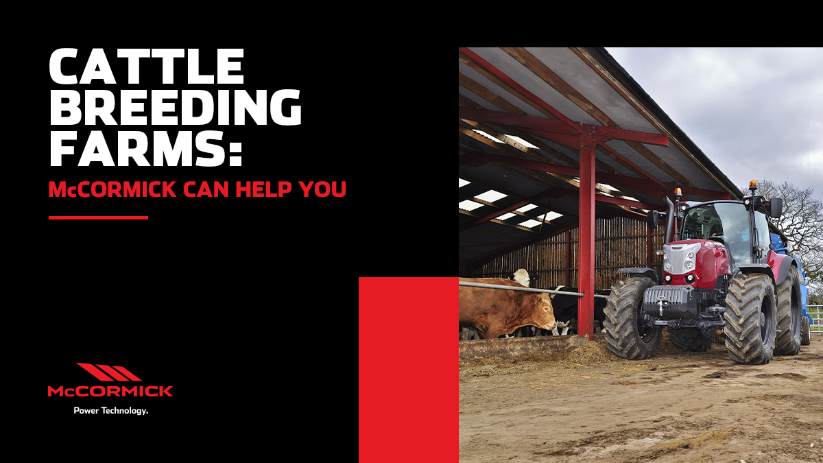 Cattle breeding farms: McCormick can help you