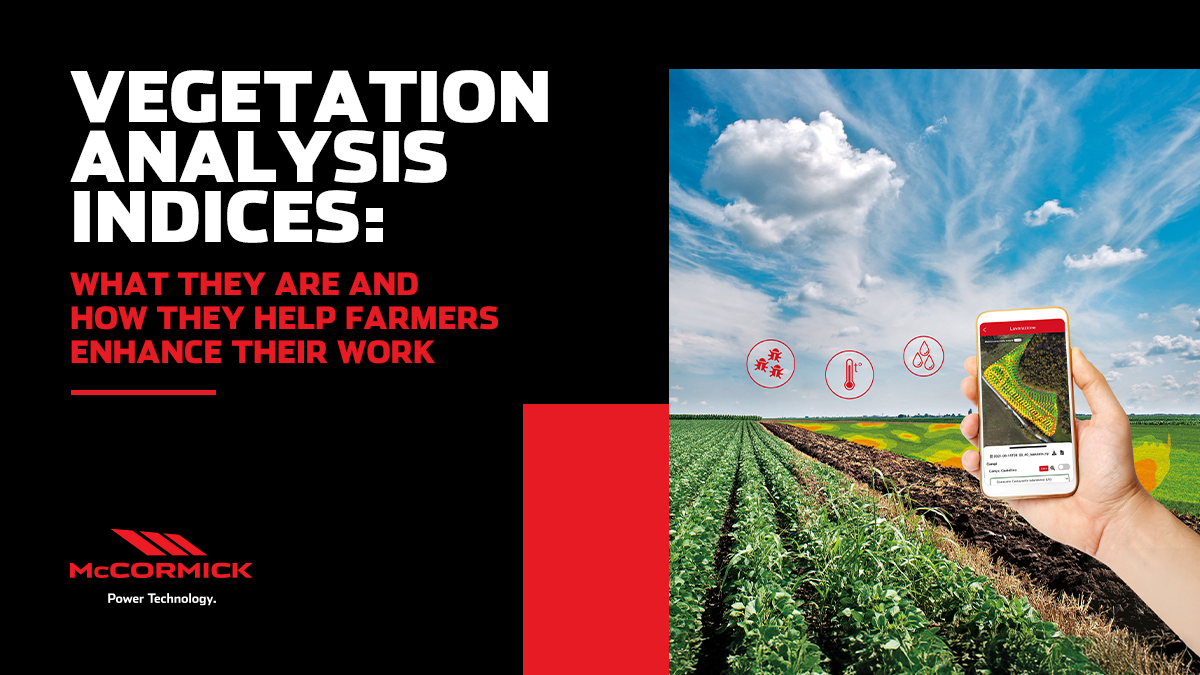 Vegetation analysis indices: what they are and how they help farmers enhance their work