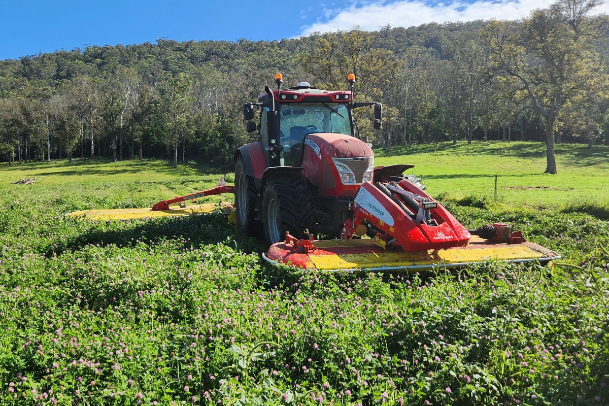 Tom Pearce x McCormick