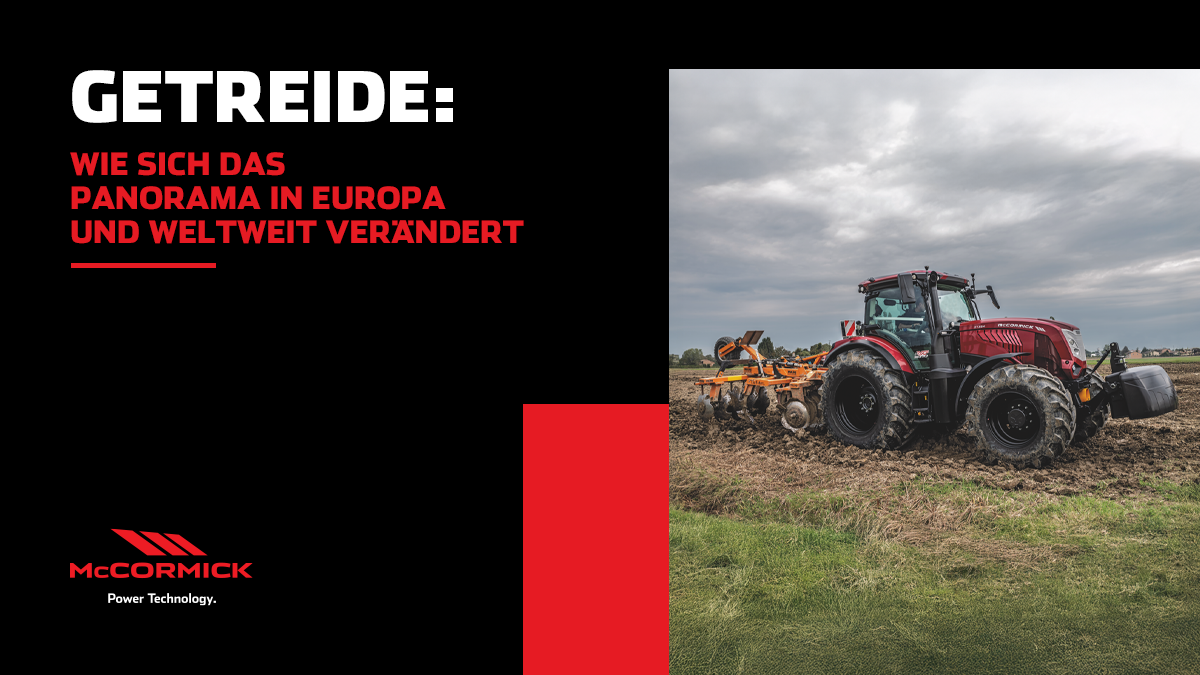 Getreide: wie sich das panorama in europa und weltweit verändert