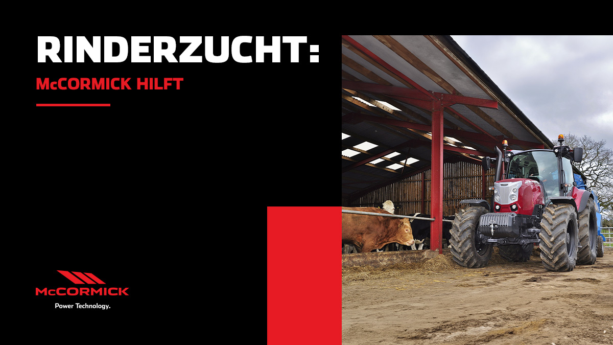Rinderzucht: McCormick Hilft