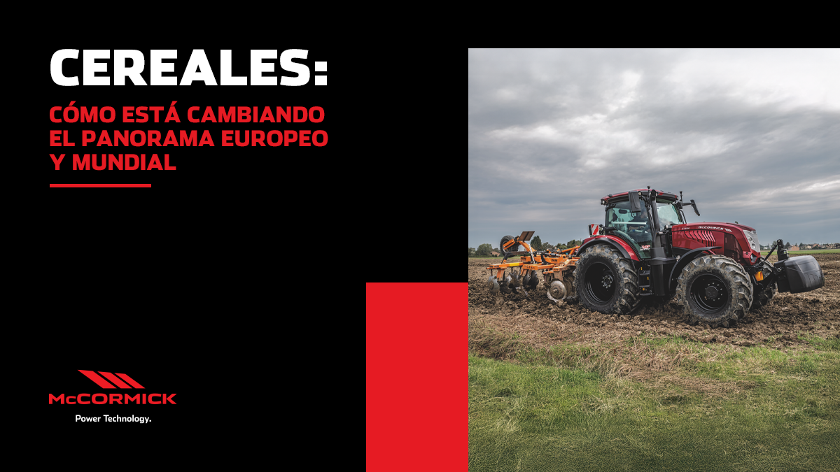 Cereales: Cómo está cambiando el panorama europeo y mundial
