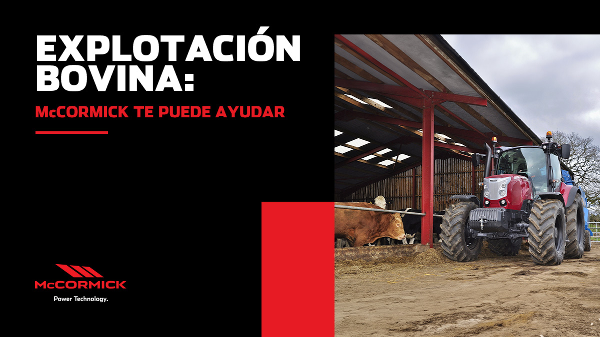 Explotación bovina: McCormick te puede ayudar