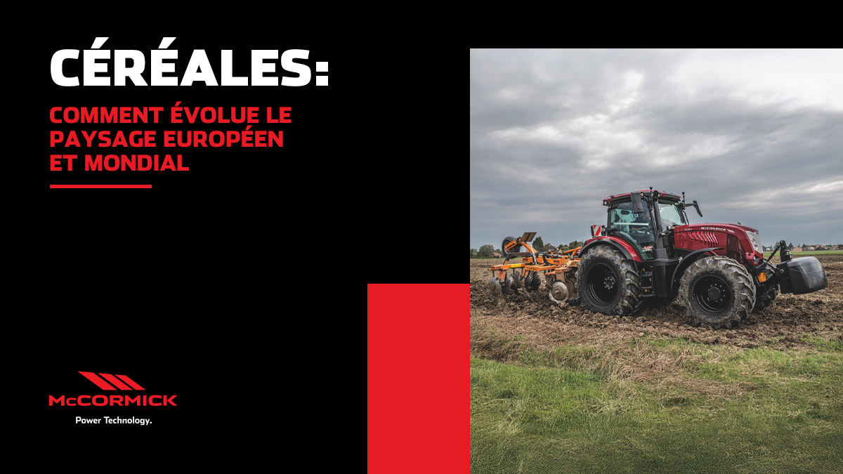 Cereales : comment evolue le paysage europeen et mondial