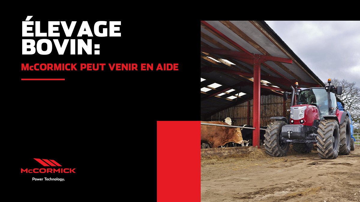 Élevage Bovin : Mccormick Peut Venir En Aide