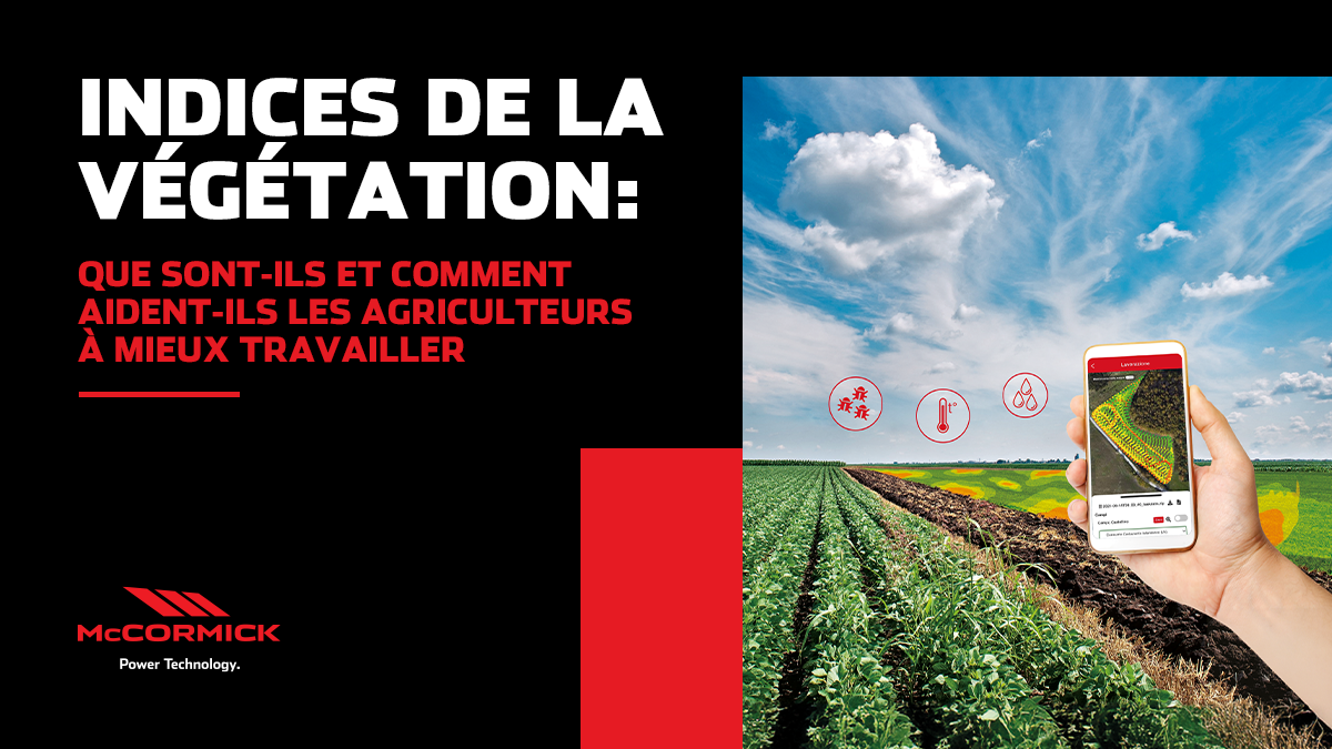 Indices de la vegetation : que sont-ils et comment aident-ils les agriculteurs a mieux travailler
