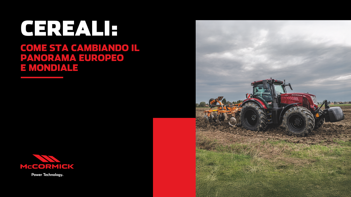 Cereali: come sta cambiando il panorama europeo e mondiale