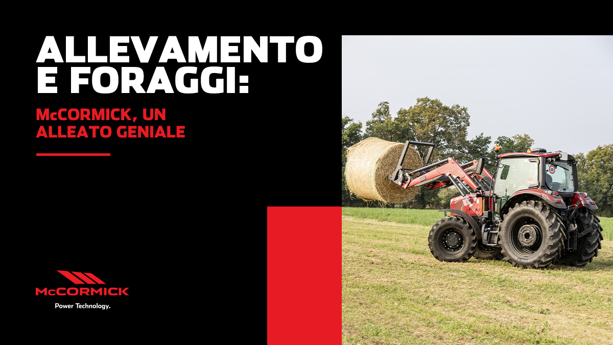 Allevamento e foraggi: McCormick, un alleato geniale