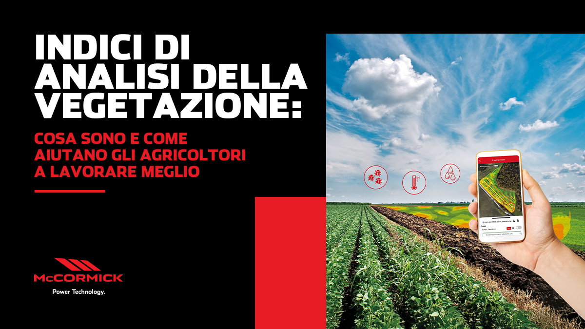 Indici di analisi della vegetazione: cosa sono e come aiutano gli agricoltori a lavorare meglio